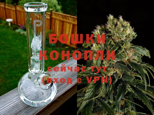 прущие грибы Белоозёрский