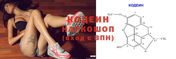 прущие грибы Белоозёрский