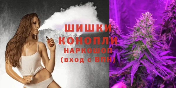 PSILOCYBIN Белокуриха