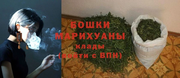 прущие грибы Белоозёрский