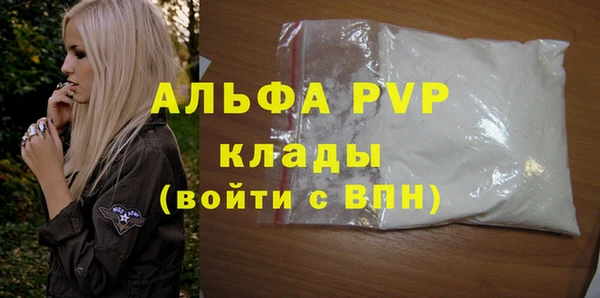 PSILOCYBIN Белокуриха