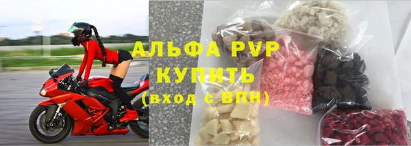 прущие грибы Белоозёрский