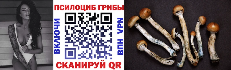 Галлюциногенные грибы мицелий  kraken зеркало  Костомукша  цены  